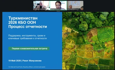 НИЦ МКУР принял участие в подготовке отчетности Туркменистана по КБО ООН в рамках цикла PRAIS 4 2026 года