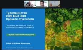 НИЦ МКУР принял участие в подготовке отчетности Туркменистана по КБО ООН в рамках цикла PRAIS 4 2026 года