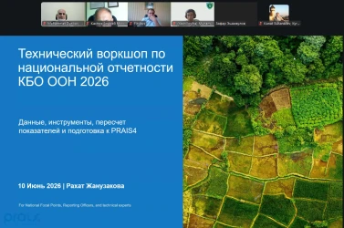 Эксперты НИЦ МКУР приняли участие в Региональном семинаре по подготовке национальной отчетности в рамках КБО ООН
