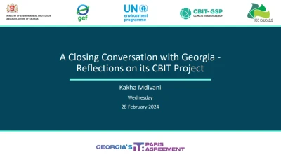 SIC ICSD Participated in the International Webinar of Implementing CBIT Project in Georgia