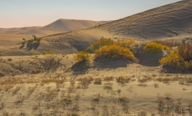 GIS Technologies and Legal Frameworks: SIC ICSD’s Contribution to Sustainable Land Management