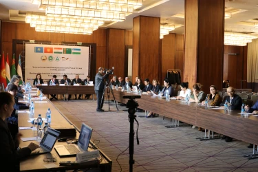 36-е заседание Межгосударственной комиссии по устойчивому развитию состоялось в Душанбе