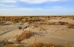 НИЦ МКУР представил инновационные ГИС-инструменты для эффективного управления пастбищами