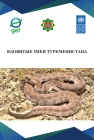 Venomous Snakes of Turkmenistan
