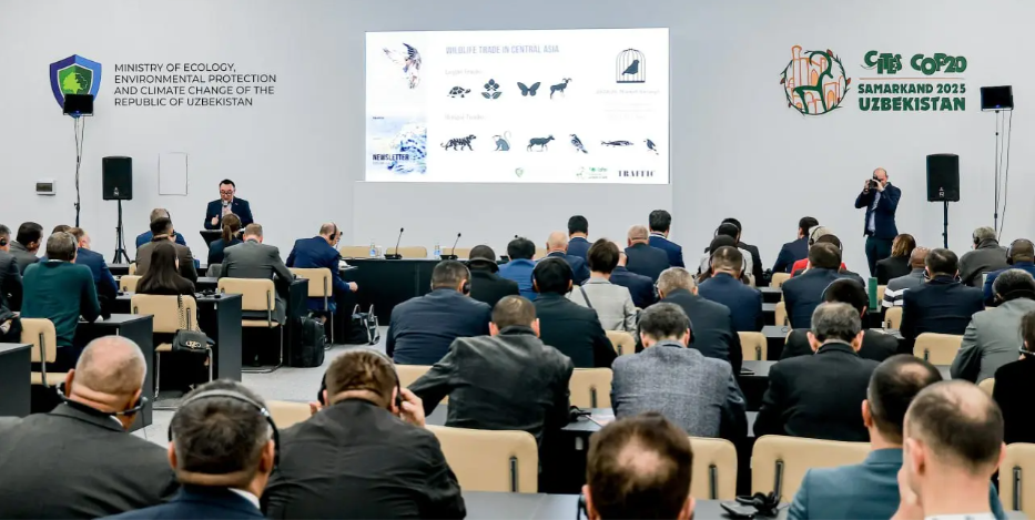 Samarkand CITIES November 2025 01-01.PNG